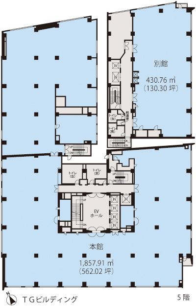 基準階（ＴＧビルディング5階階）