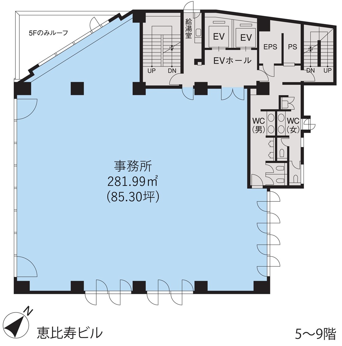 基準階（恵比寿ビル5～9階階）