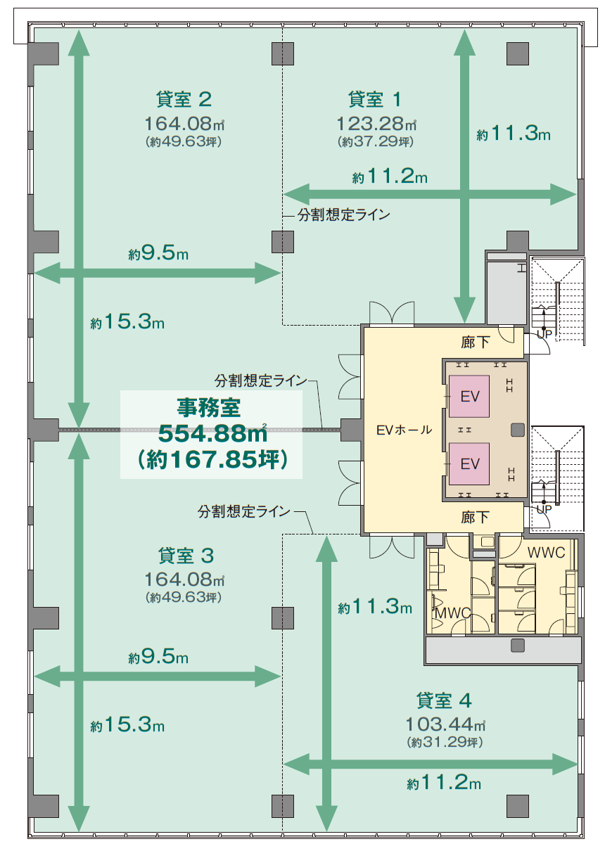 基準階（階）